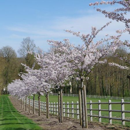 Serzy-et-Prin Le Domaine De Prin Bed & Breakfast エクステリア 写真